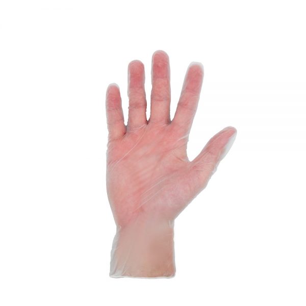 Asent-vinyl-gloves